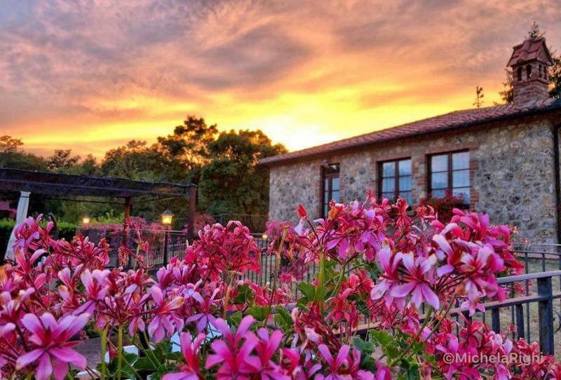 Agriturismo La Quercia Boccheggiano Exterior foto